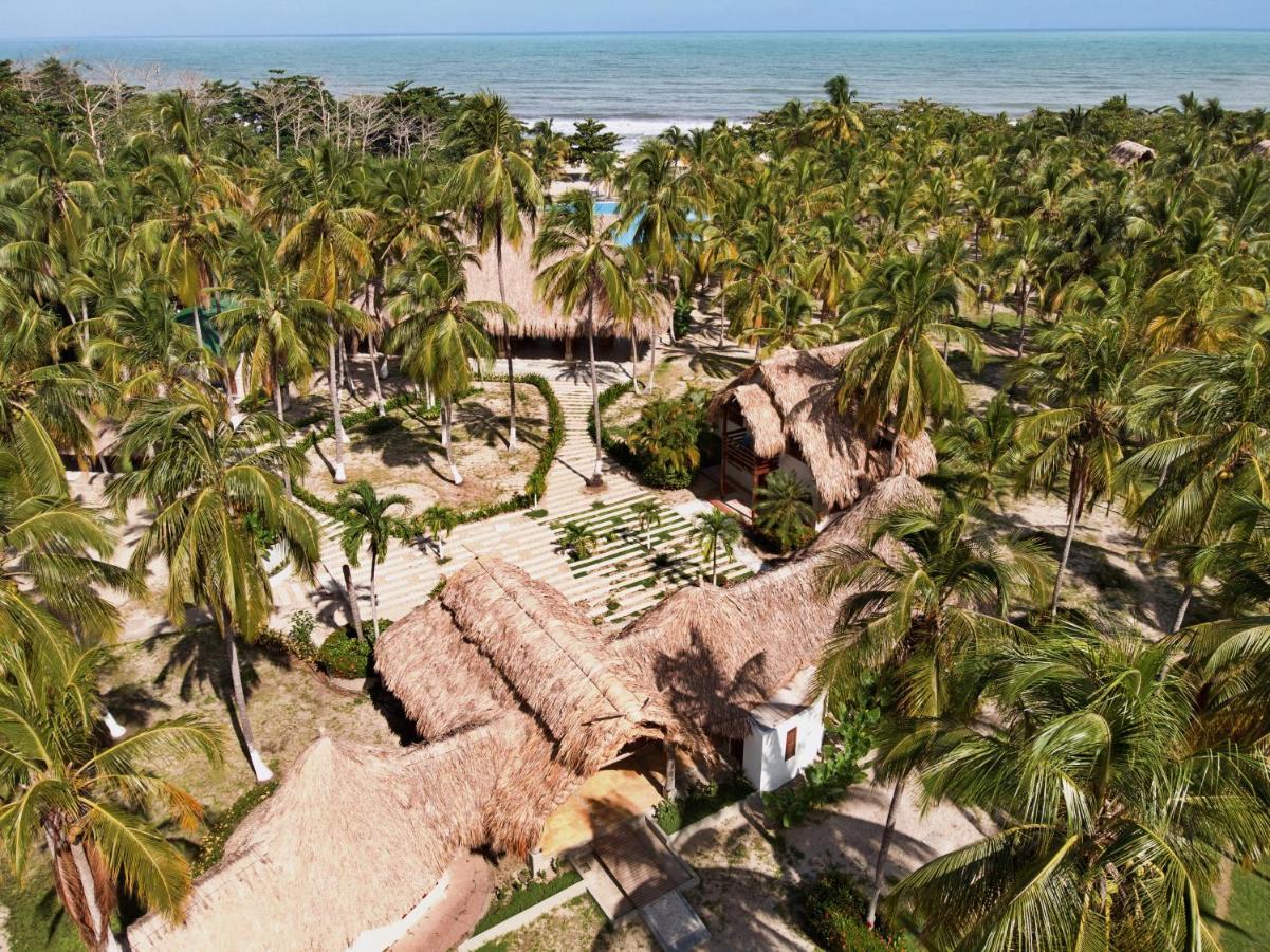 Tay Beach Hotel Tayrona ブリタカ エクステリア 写真
