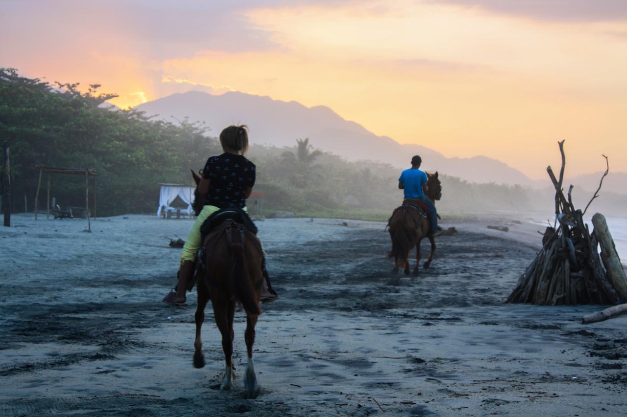 Tay Beach Hotel Tayrona ブリタカ エクステリア 写真