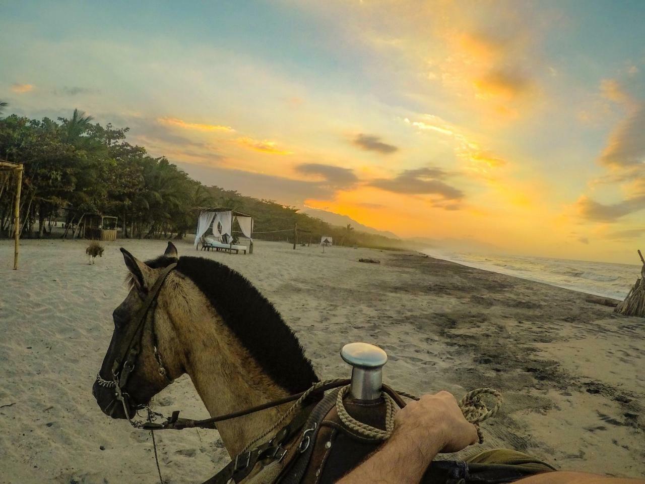 Tay Beach Hotel Tayrona ブリタカ エクステリア 写真